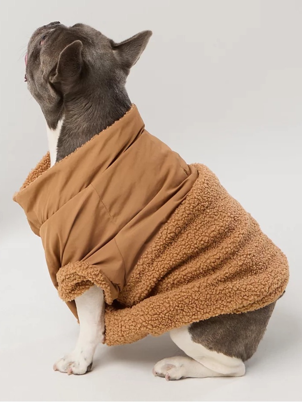 NWT OFFLEASH By Aerie Fluff Love Sherpa Dog Quarter Snap - Picture 2 of 13